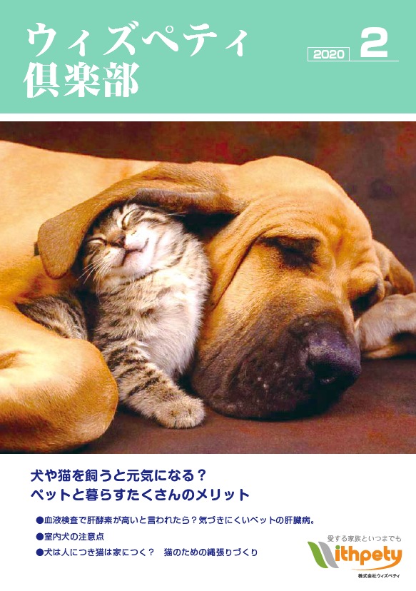 獣医師 ペット資格者監修 犬や猫を飼うと元気になる ペットと暮らすたくさんのメリット 犬の病気 猫の病気がわかるウィズペティ倶楽部 会報誌版