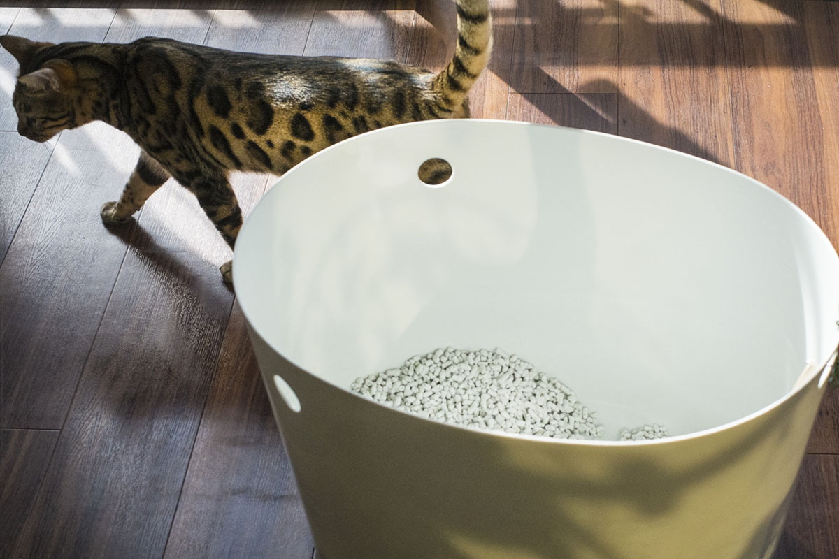 猫が喜ぶ快適なトイレ環境とは？